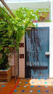 une porte bleue sur un mur avec une plante dans l'établissement Casa de la Portuguesa, bonita terraza con barbacoa, à Güéjar-Sierra