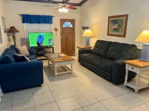 Una sala de estar con un sofá y un televisor. en BARNHILL B DUPLEX Duplex, en Jekyll Island