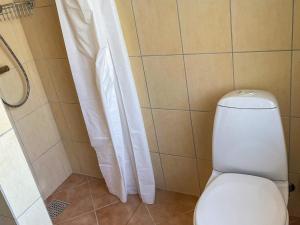 a bathroom with a toilet and a shower at Spacious Lakeside Retreat in Ansager +29 photos