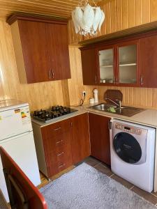 a kitchen with a washer and a sink and a dishwasher at Gosti Home Demirkapi in Çaykara +31 photos