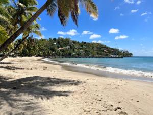 una spiaggia con palme e l'oceano di Argalo Suites 2 a Laborie