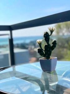 Ảnh trong thư viện ảnh của Del Vaiven ở Villa Carlos Paz