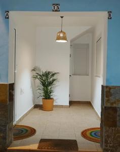 a hallway with a potted plant in a room at Piedras del Teide in Guía de Isora