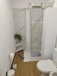a bathroom with a shower and a toilet at Piedras del Teide in Guía de Isora