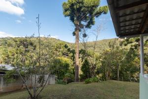 una palmera en medio de un patio en Casa Veredas Campos do Jordão, en Campos do Jordão