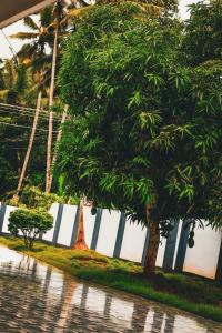 a white fence with trees in front of it at Amrutham Homestay in Trivandrum +13 photos