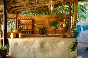 a kitchen with potted plants on top of a counter at Wave Loom Hostel in Arugam Bay