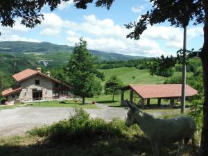 Príroda v okolí farmy