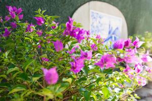 A garden outside Rio Boutique Suites