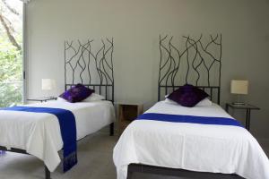 a bedroom with two beds with white and blue sheets at Casa Tepoztlán in Tepoztlán