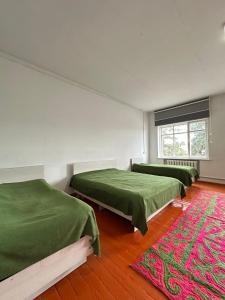 two beds in a room with green sheets and a rug at Коломто in Bokonbayevo