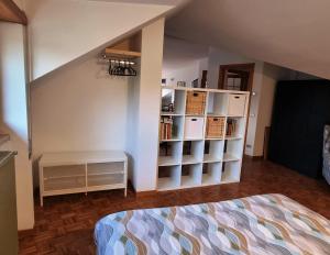 a bedroom with a bed and a book shelf at Casa Michetti in Castel di Sangro