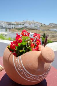 a pot with flowers in it sitting on a table at Pension Ilias - Chora Amorgos in Amorgos