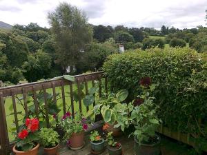 un montón de plantas en macetas sentadas en un balcón en Reads Park Self - Catering Accommodation, en Galbally