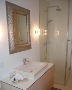 a bathroom with a sink and a shower with a mirror at Ferienwohnung Rheintal in Feldkirch