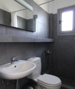 een badkamer met een toilet, een wastafel en een spiegel bij Villa Nefeli in Batsi