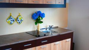 Kjøkken eller kjøkkenkrok på Blue Bay Apartments