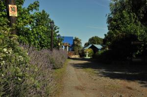 a dirt road with a no parking sign and purple plants at Amanecer en las Piedras in Tandil