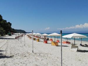 Paesaggio naturale nelle vicinanze of country house