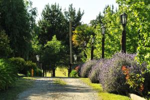 un jardín con flores púrpuras, luces de la calle y árboles en Amanecer en las Piedras en Tandil