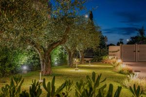 einen Garten mit Bäumen und Lichtern in der Nacht in der Unterkunft Lea Residenza Mediterranea Paestum in Paestum + 6 Fotos