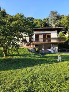 a dog sitting in the grass in front of a house at Villa Bella Porto Valtravaglia in Porto Valtravaglia