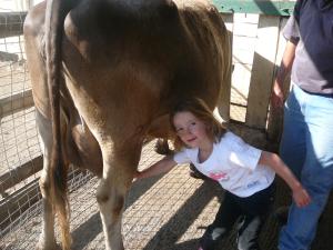 una bambina in piedi accanto a una mucca marrone di Bestbrook Mountain Farmstay a Maryvale