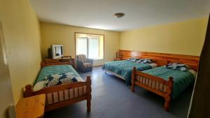 a bedroom with two beds and a tv in it at Gîte LE LOUP in Les Hautes-Rivières