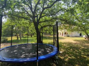 Gallery image of Apartman Jala in Medaki