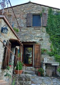 ElmoCasa della pace - apartment with private entrance的有木门和植物的石头房子