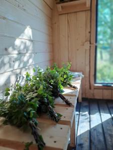 two plants sitting on wooden crates in a room at Yurt Birzs with Sauna at Kleja Camping in Eikaži