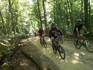 three people riding bikes on a dirt trail in the woods at Apartman Drenovac in Slunj