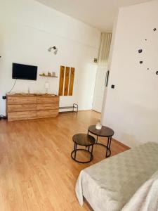 TV a/nebo společenská místnost v ubytování Kaštelina apartments