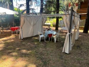 Fotografie z fotogalerie ubytování Albergo Magenta v destinaci Casella