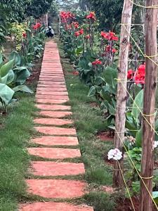 a pathway in a garden with red stones and red flowers at One Bedroom Cottages at Elmadel in Machakos