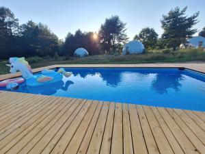 a swimming pool with a toy horse in the water at Salinko Glamping in Łętowo