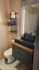 un bagno con lavandino, WC e specchio di Chalet bois pour 2 avec balnéo a Le Puy en Velay