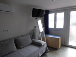 a living room with a couch and a flat screen tv at Roth Apartments beim Europa-Park Rust in Rheinhausen