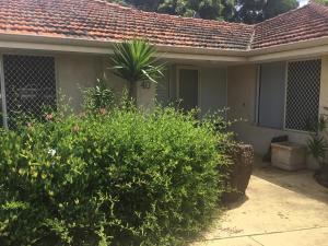 a house with a plant in the front yard at Serenity stay in Perth