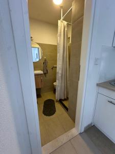 a bathroom with a shower and a toilet and a sink at Sarajevo-Hotonj Apartman in Sarajevo