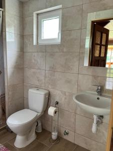 a bathroom with a toilet and a sink at Gospodarstwo Agroturystyczne na Górce in Myczkowce +18 photos