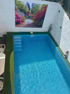 a swimming pool with a picture on the wall at Casa al-andalus in Granada