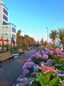 Zahrada ubytování Hotel OLIMP SHEKVETILI + 7 fotografií