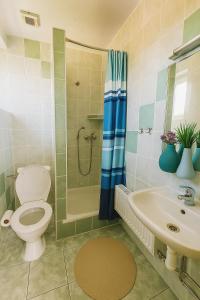 a bathroom with a toilet and a shower and a sink at Penzión u Veroniky in Ždiar +21 photos