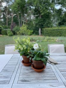 Zahrada ubytování Guest house Huize De Wit