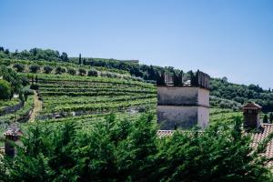 a vineyard with a castle on a hill with trees at La Contrà Valpolicella in Fumane