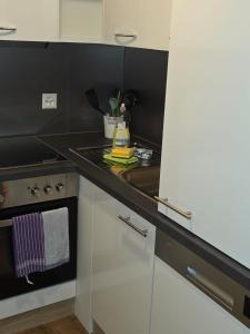 Kuchyň nebo kuchyňský kout v ubytování Marco Apartment - Aare Jungfrau AG