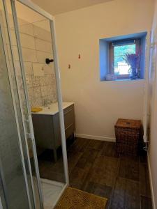 a bathroom with a shower and a sink and a mirror at La Maison des Oiseaux in Crouzilles +20 photos
