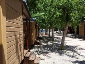 Fotografie z fotogalerie ubytování Camping l'Alqueria v destinaci Gandía