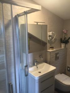 a bathroom with a sink and a shower and a toilet at Apartment and room Sveti Jakov in Dubrovnik +37 photos
